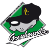 Aachen Greyhounds - Baseball Aachen Greyhounds - Baseball